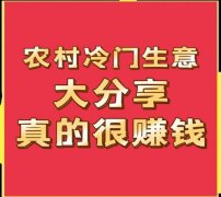 无论是小我创业者仍是企
